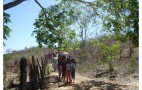 Arassussa_Folia Olinto 002