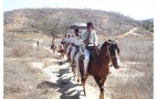 Arassussa_Folia Olinto 011