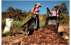 Arassussa_Projeto__FOTO_Carolina_Rolin (1)