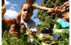 Arassussa_Projeto__FOTO_Danilo_Verpa_Folha_Imagem (1)