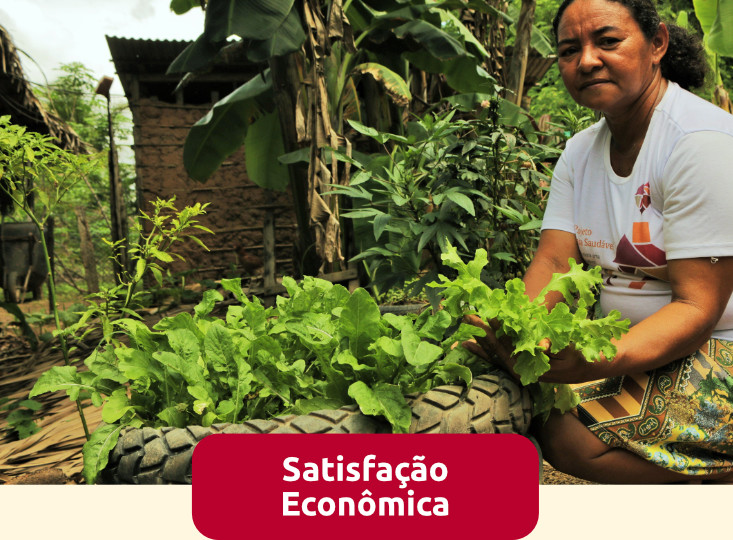 nossas_causas_satisfacao_economica
