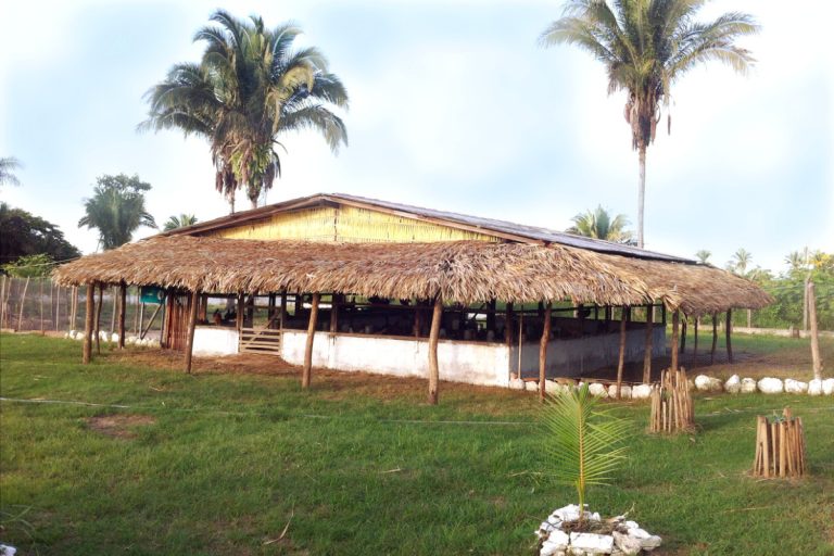 ec11_site_cpcd